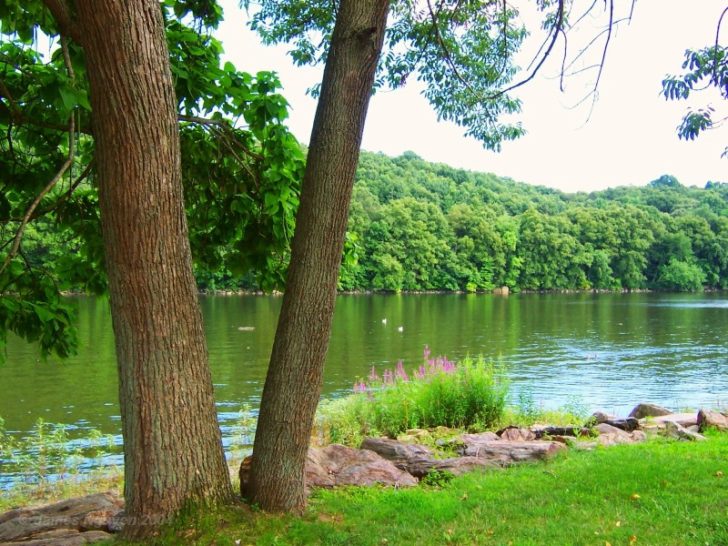 The Housatonic Riverbank